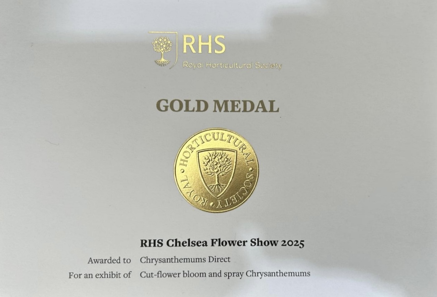 Chelsea Gold Medal 2025